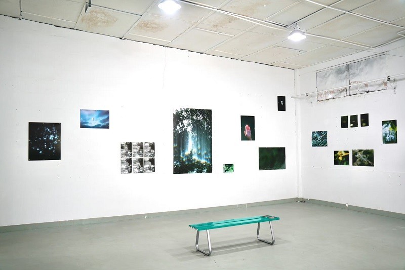 1728618658800471.jpg cusp3.jpg