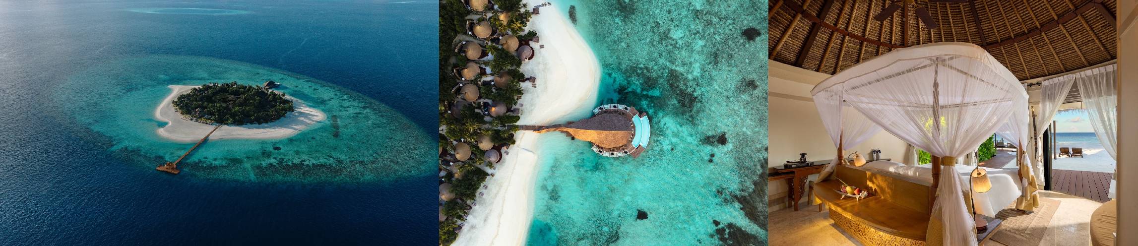 1733901378893609.jpg 下载.jpg