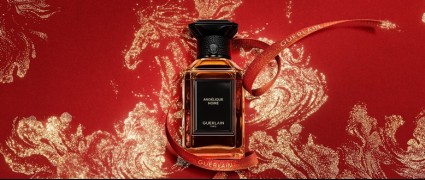 20260121571653184646.png image.png