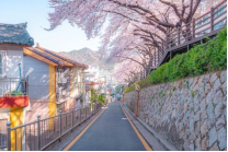 2026012342131558105.png image.png