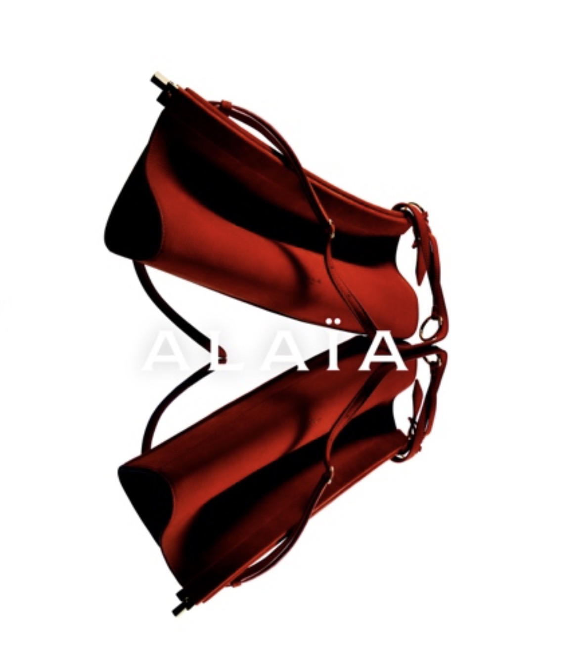 20260130311736867615.jpg alaia2.jpg