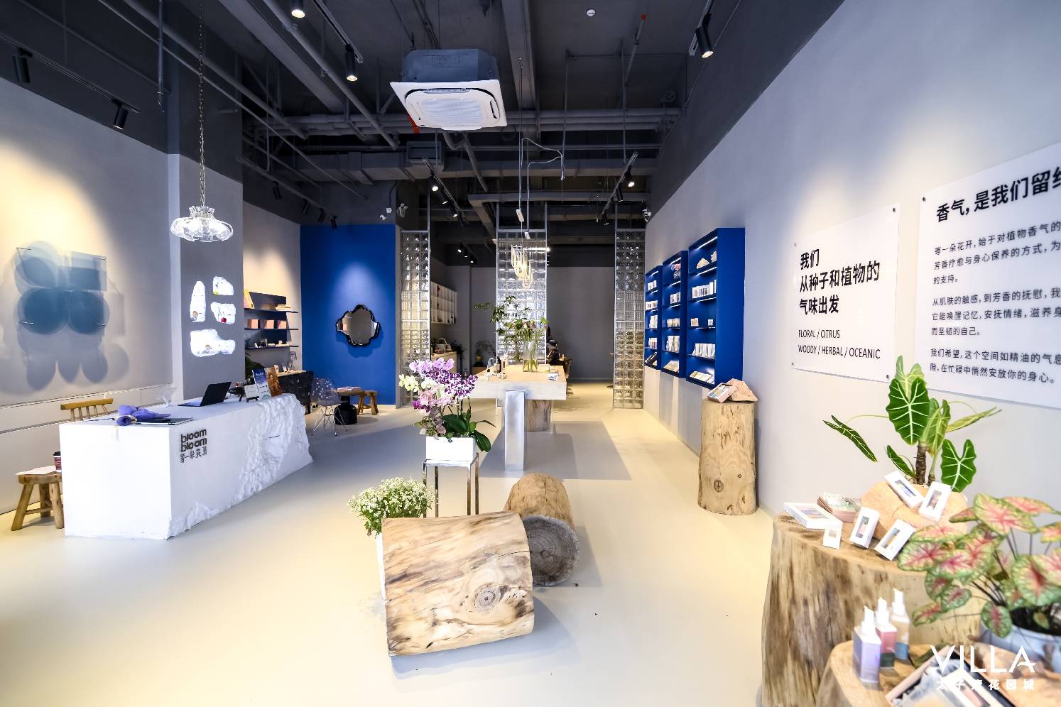 1775202906840672.jpg 等一朵花开4.jpg