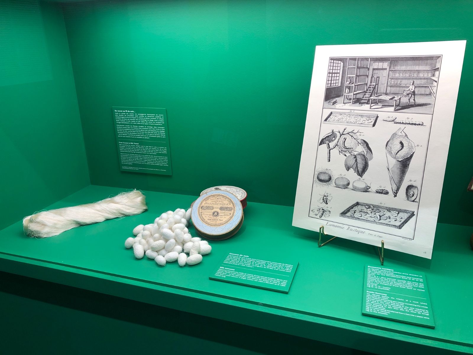 20260411451201654071.jpg 微信图片_20260411121726_58_2433.jpg